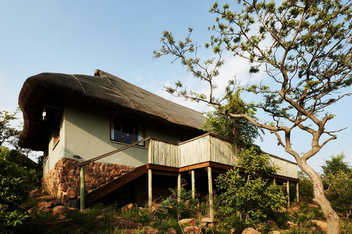 Mhondoro Safari Lodge & Villa Welgevonden Game Reserve Exterior photo
